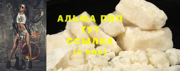 ГАЛЛЮЦИНОГЕННЫЕ ГРИБЫ Горно-Алтайск