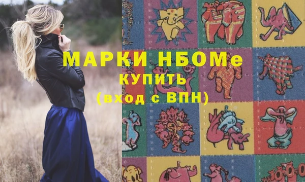 ешки Горняк