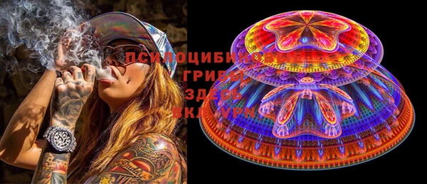 ГАЛЛЮЦИНОГЕННЫЕ ГРИБЫ Горнозаводск