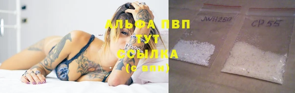 ГАЛЛЮЦИНОГЕННЫЕ ГРИБЫ Горно-Алтайск