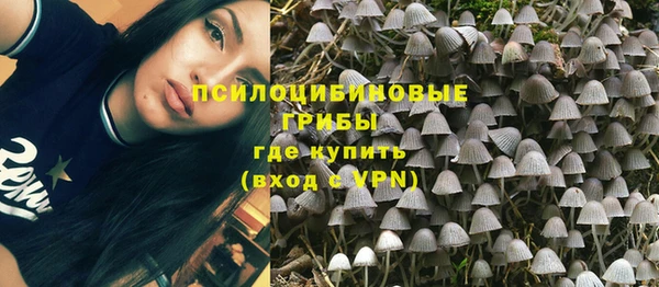 ГАЛЛЮЦИНОГЕННЫЕ ГРИБЫ Горнозаводск