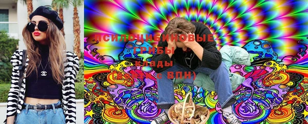 ГАЛЛЮЦИНОГЕННЫЕ ГРИБЫ Горнозаводск