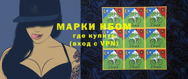ГАЛЛЮЦИНОГЕННЫЕ ГРИБЫ Горно-Алтайск