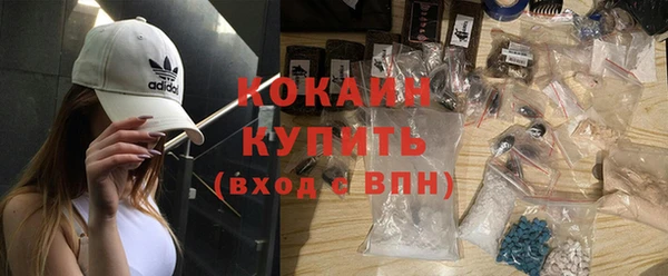 ешки Горняк