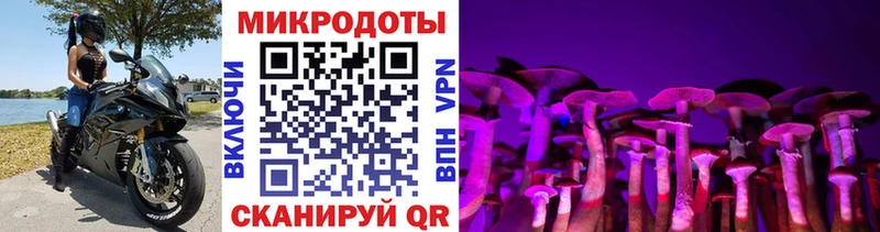 ОМГ ОМГ зеркало  Нерюнгри  Галлюциногенные грибы ЛСД 