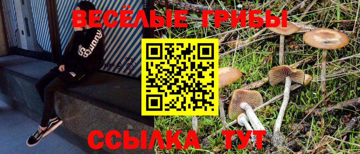 Лсд 25  МДМА  Бошки Шишки  Мефедрон кристаллы  Вход с VPN  ГЕРОИН  Нерюнгри  Гашиш 
