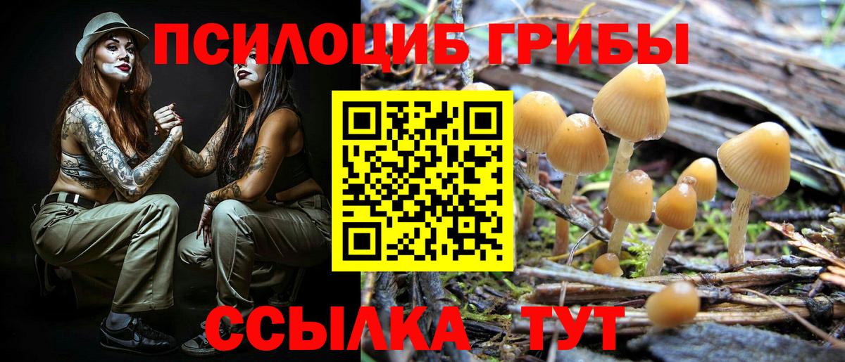 Галлюциногенные грибы MAGIC MUSHROOMS  Нерюнгри 