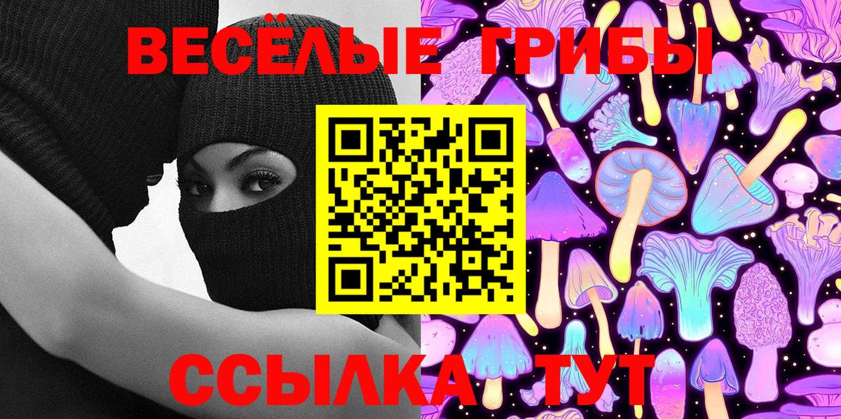 Галлюциногенные грибы Cubensis  Вход с VPN  Нерюнгри 